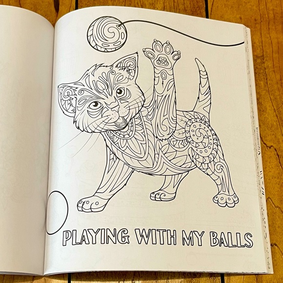 Adult Colouring Book - Picture 6 of 10